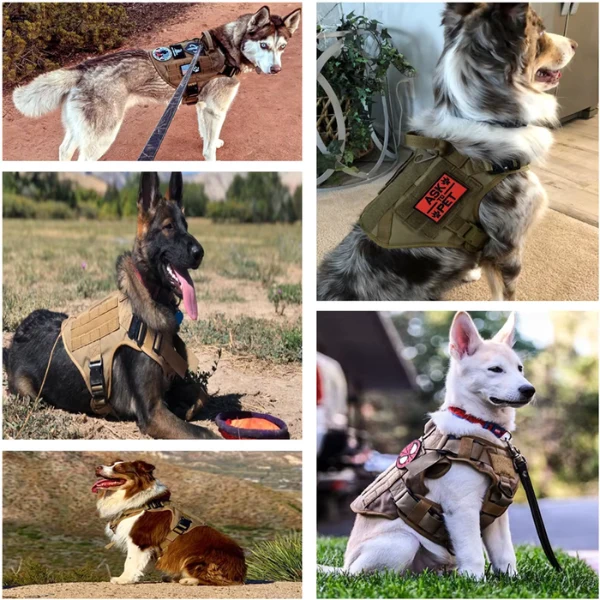 Robustes Militär Hundegeschirr für Training und Spaziergänge
