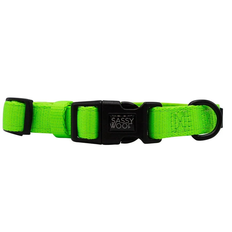 Neon Green Collar