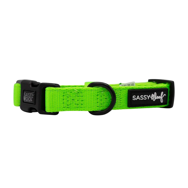 Neon Green Collar
