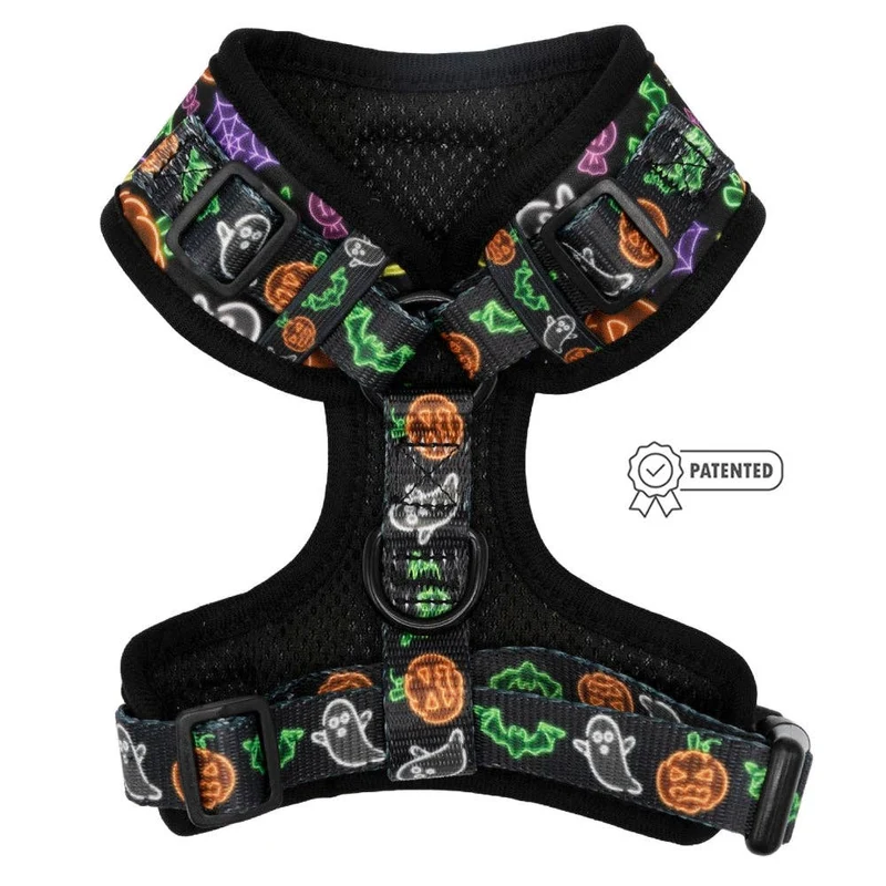 Neon Frights Harness