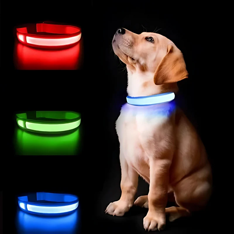 Wasserdichtes LED AirTag Hundehalsband mit USB-C