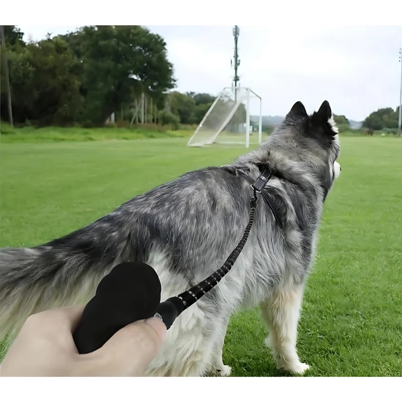 Reflektierende Sicherheitsleine für Hunde