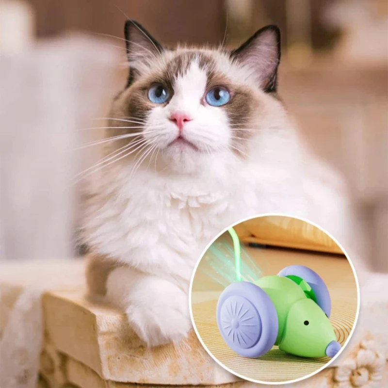 Automatische KI-Maus für Katzen
