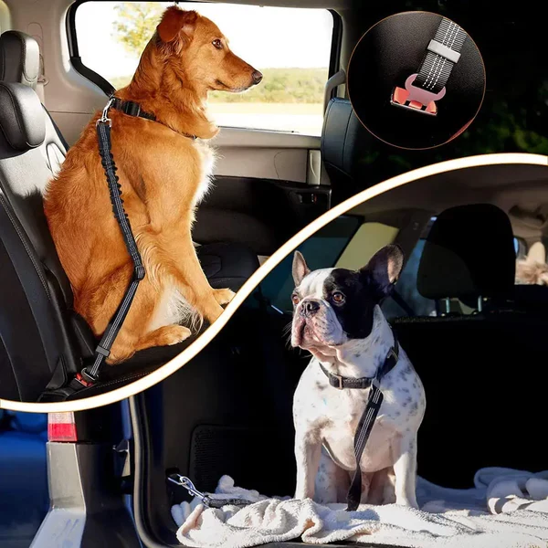 Flexibler Auto-Sicherheitsgurt für Hunde & Katzen