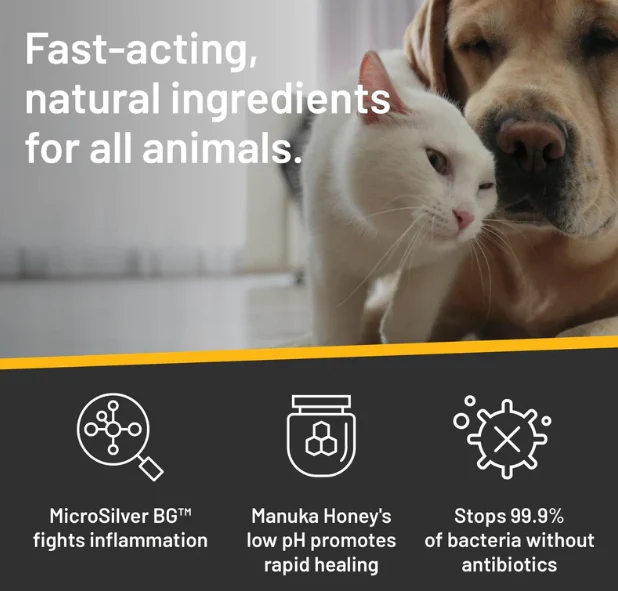 Hot Spot & Wound Care Ointment