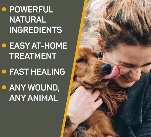 Hot Spot & Wound Care Ointment