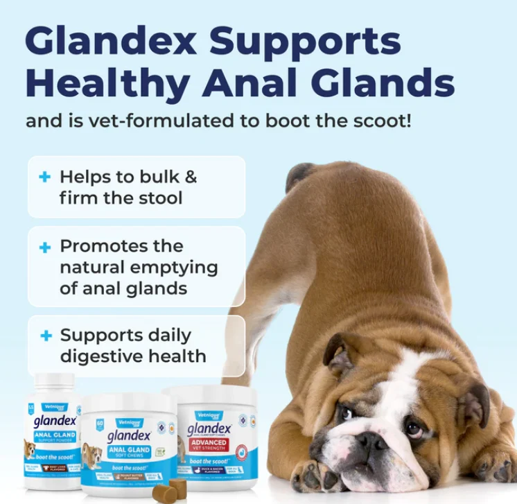 Glandex Anal Gland Support Soft Chews