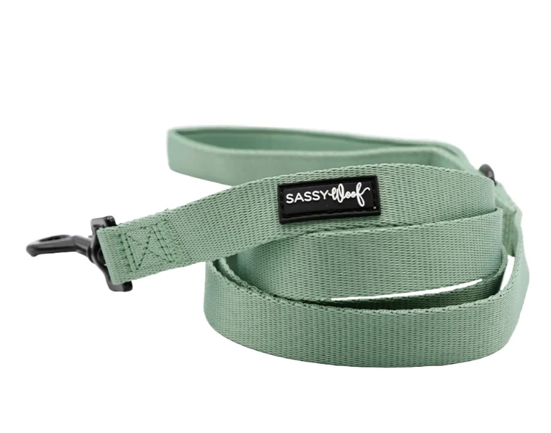Sage Leash