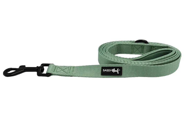 Sage Leash