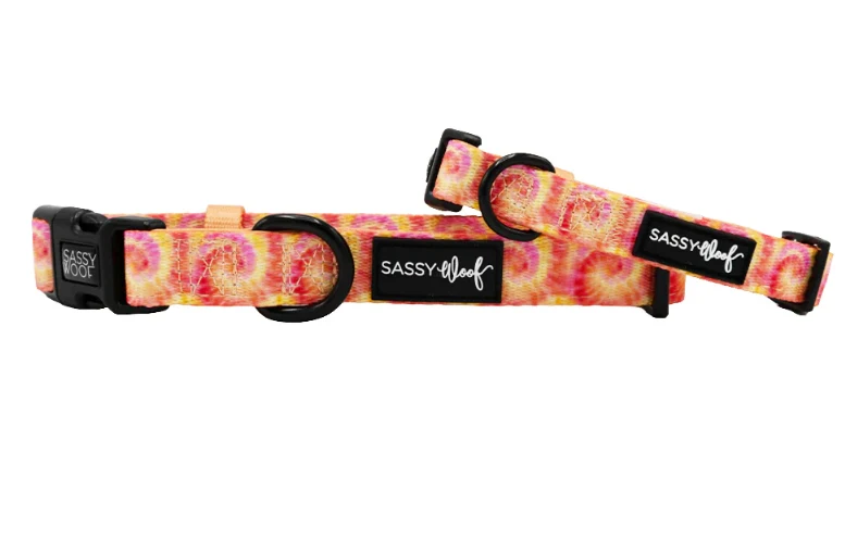 Summer Sorbet Collar