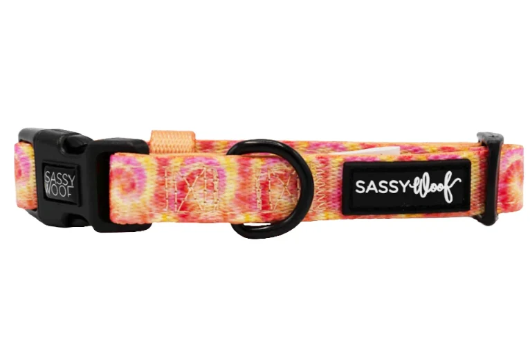 Summer Sorbet Collar