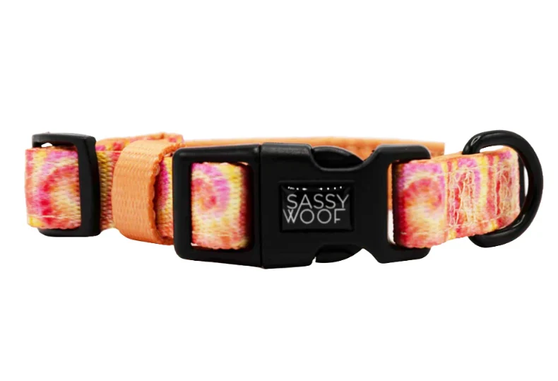 Summer Sorbet Collar
