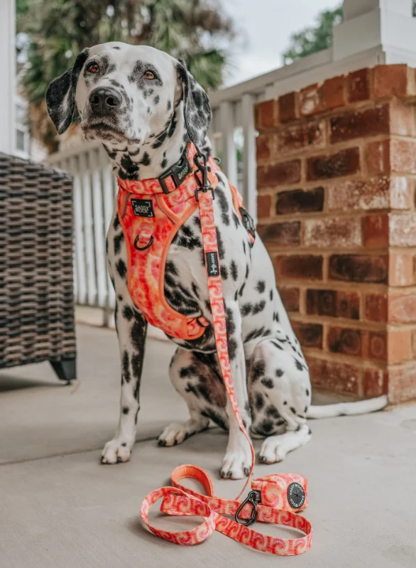 Summer Sorbet Collar