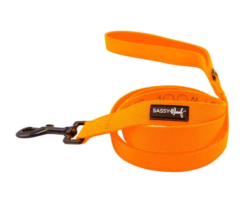 Neon Orange Leash