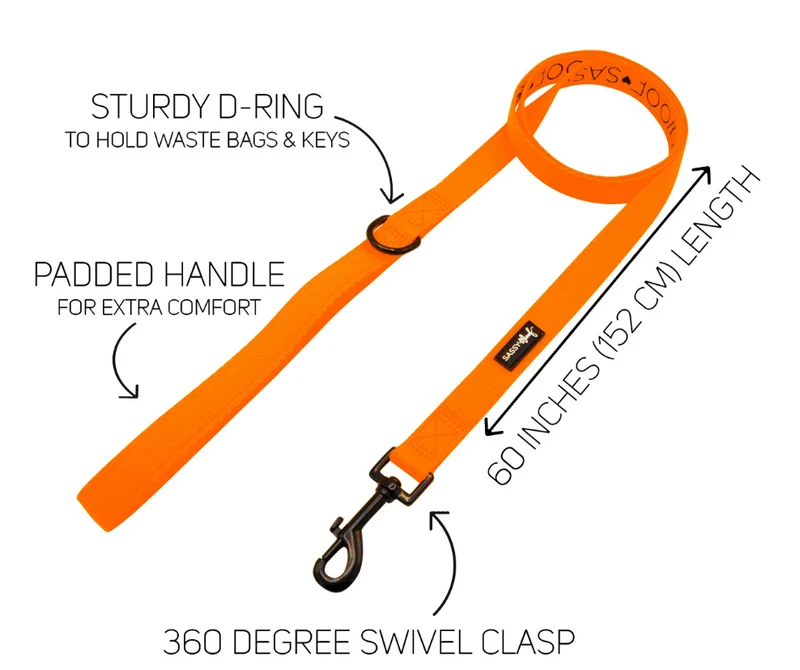 Neon Orange Leash