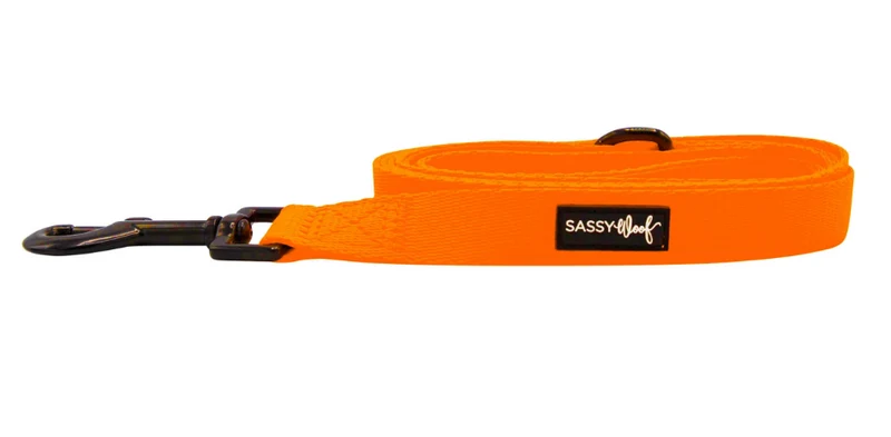 Neon Orange Leash