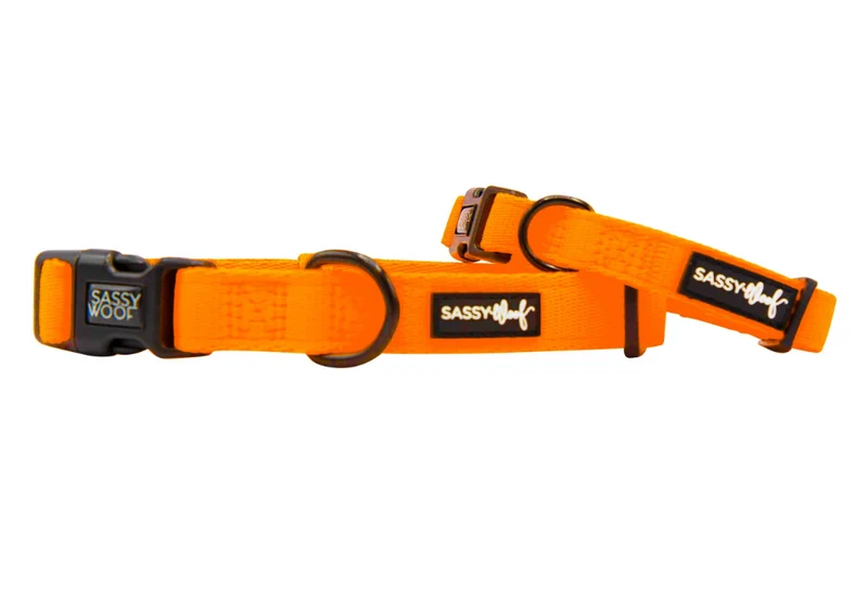 Neon Orange Collar