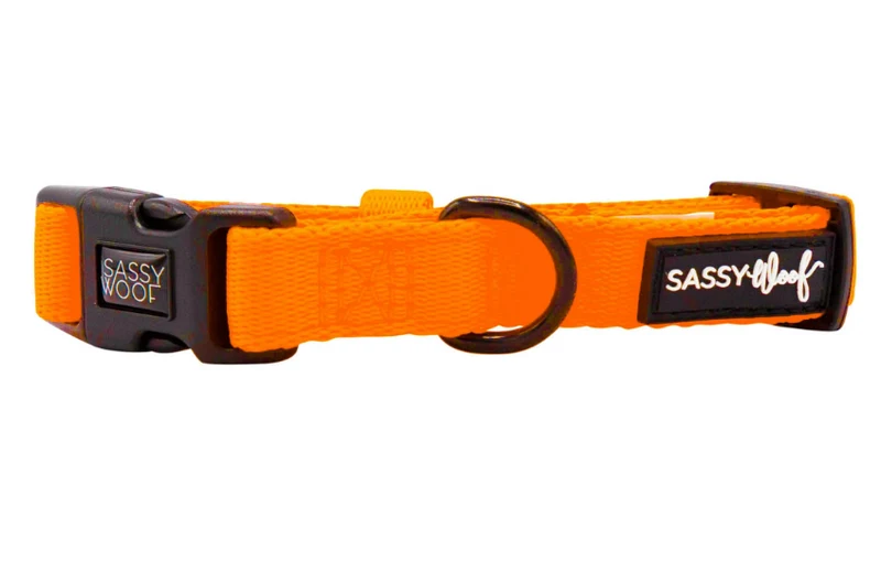 Neon Orange Collar