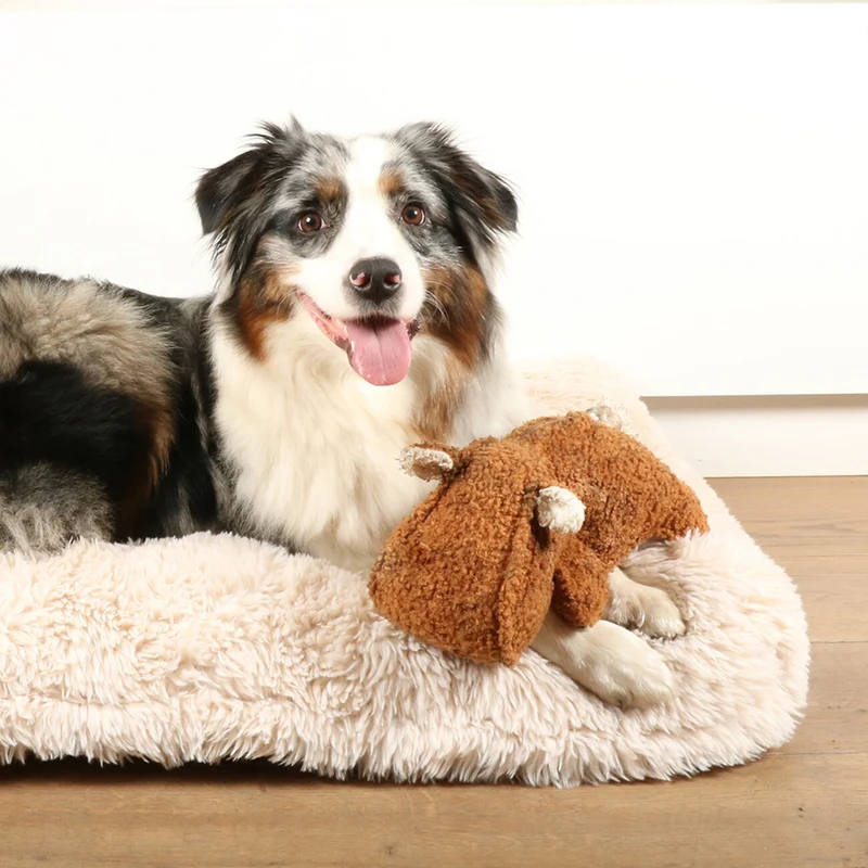 D&D HOME Hundespielzeug Emmy aus Teddystoff mit Quietscher & Knotenseil
