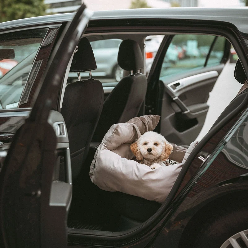 HUNTER 2-in-1 Autositz Seoul für Hunde