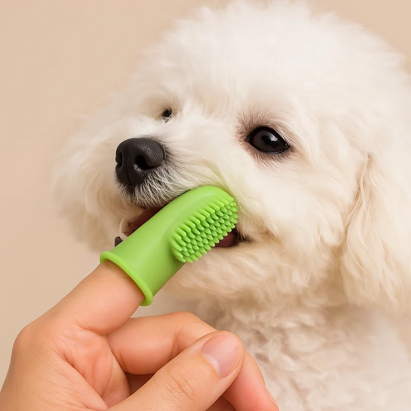 Weiche Fingerzahnbürste für Hunde – Sanfte Zahnpflege