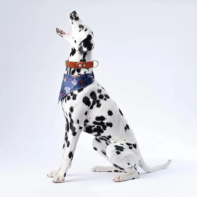 Echtes Lederhalsband mit Airtag-Halter für Hunde
