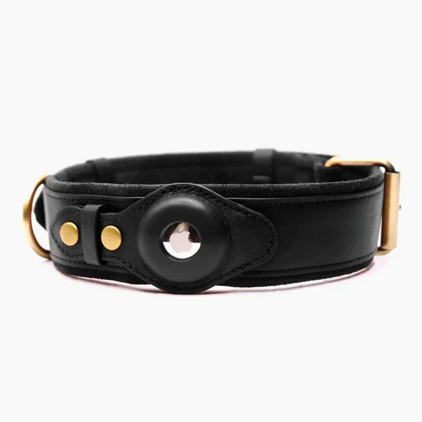 Echtes Lederhalsband mit Airtag-Halter für Hunde