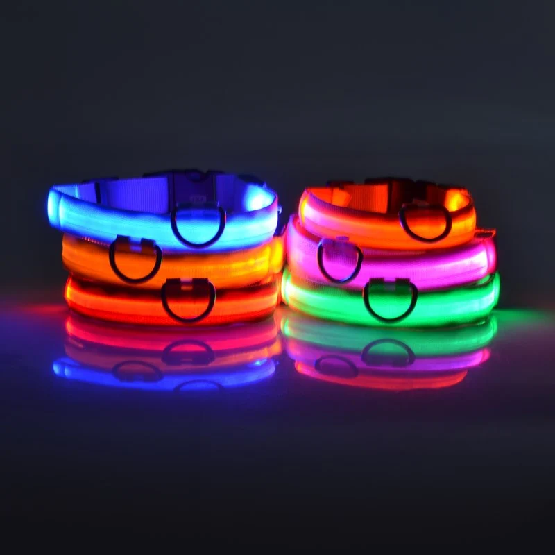 USB-C LED Hundehalsband – 7 Farben, 3 Modi & doppelte D-Ringe