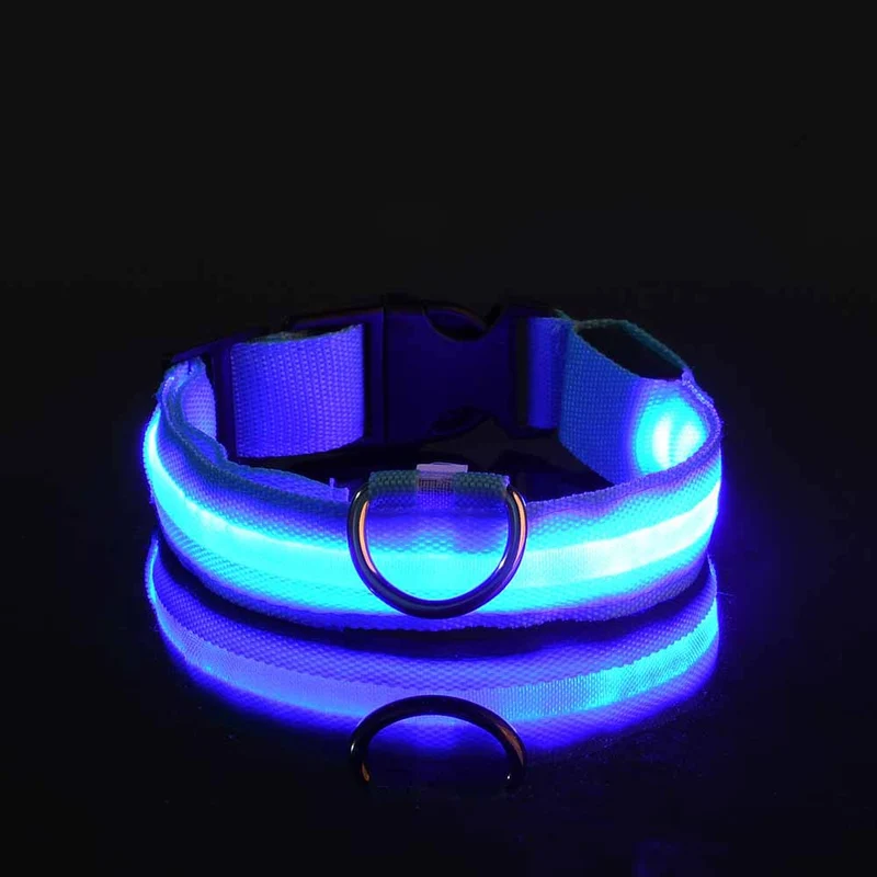 USB-C LED Hundehalsband – 7 Farben, 3 Modi & doppelte D-Ringe