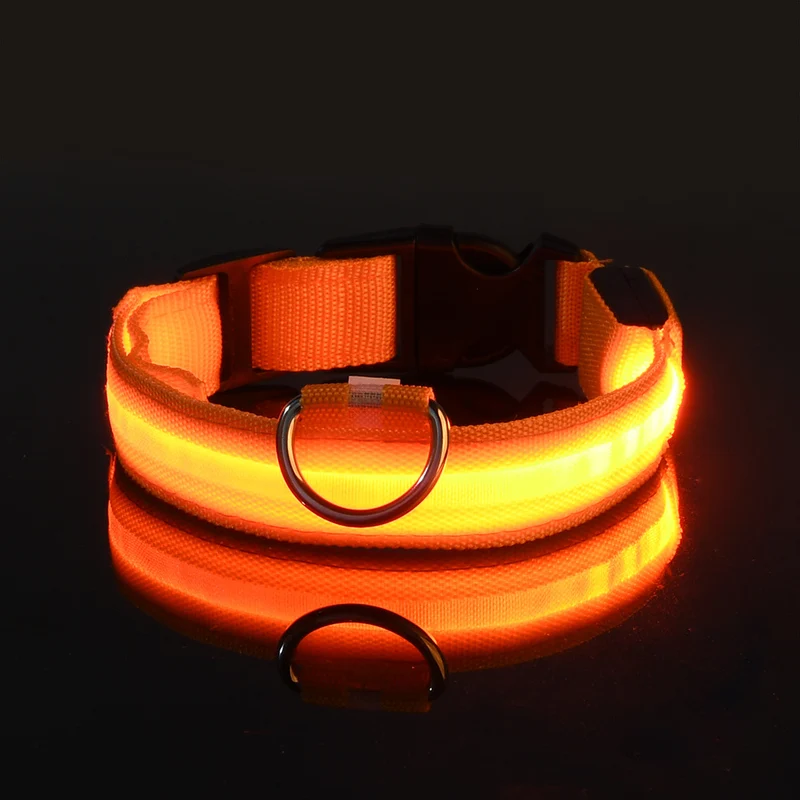 USB-C LED Hundehalsband – 7 Farben, 3 Modi & doppelte D-Ringe