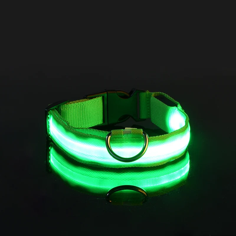 USB-C LED Hundehalsband – 7 Farben, 3 Modi & doppelte D-Ringe