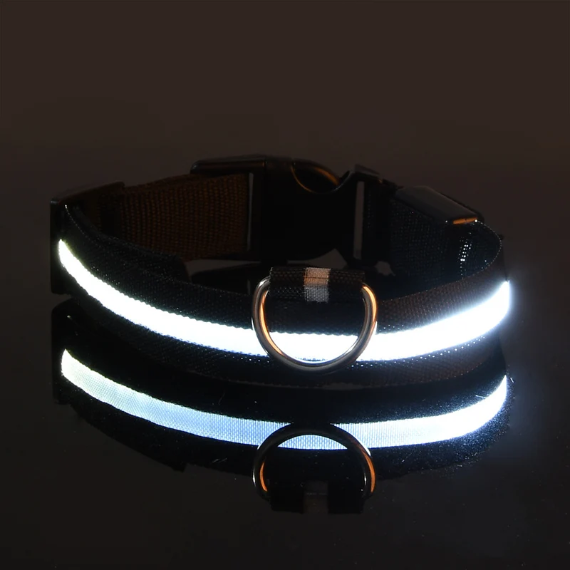 USB-C LED Hundehalsband – 7 Farben, 3 Modi & doppelte D-Ringe