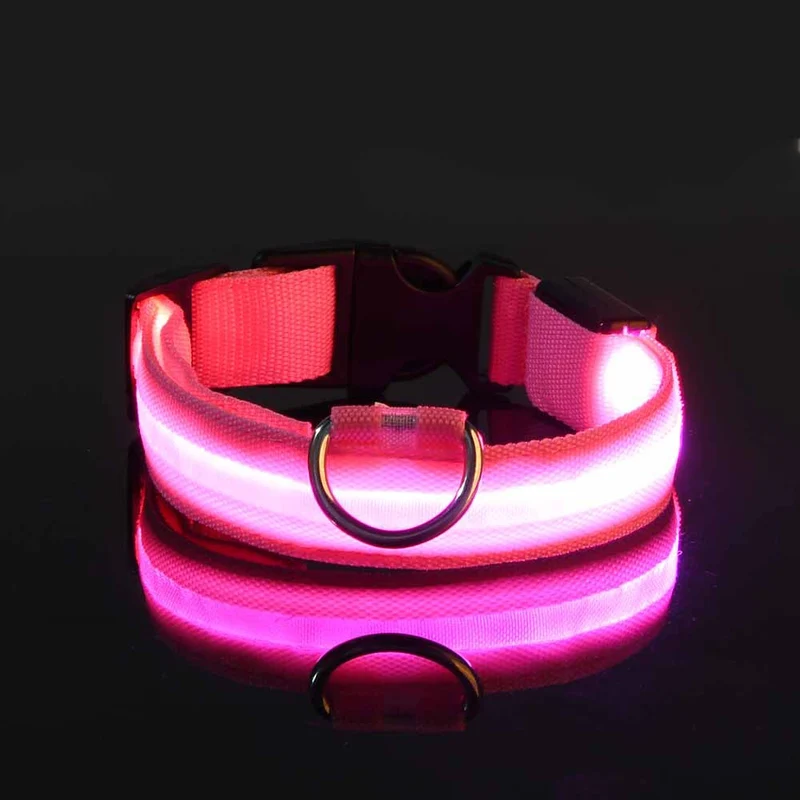 USB-C LED Hundehalsband – 7 Farben, 3 Modi & doppelte D-Ringe