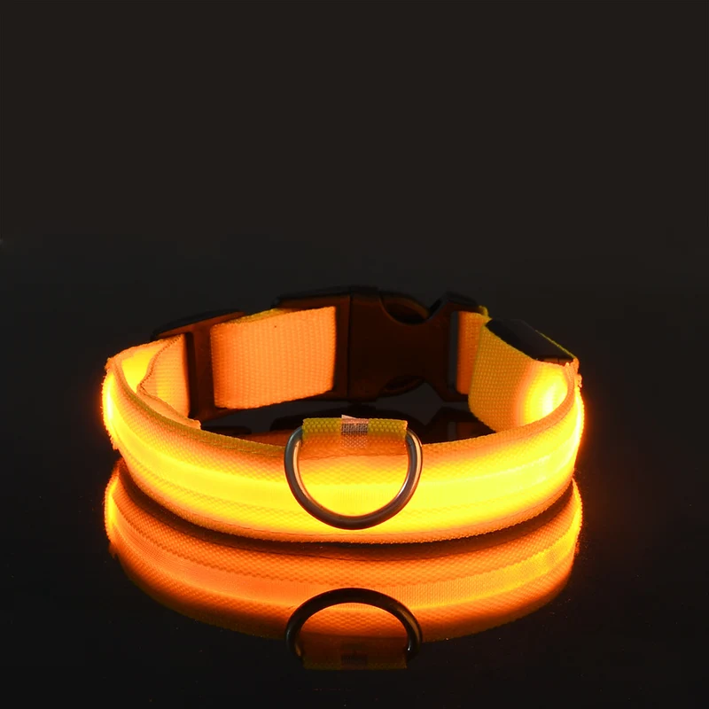 USB-C LED Hundehalsband – 7 Farben, 3 Modi & doppelte D-Ringe