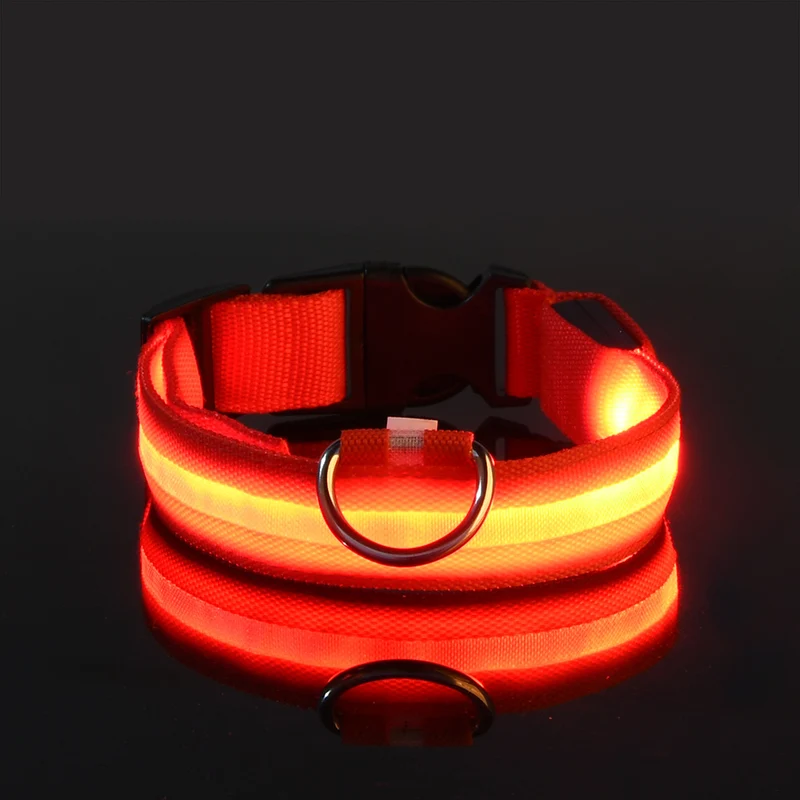 USB-C LED Hundehalsband – 7 Farben, 3 Modi & doppelte D-Ringe