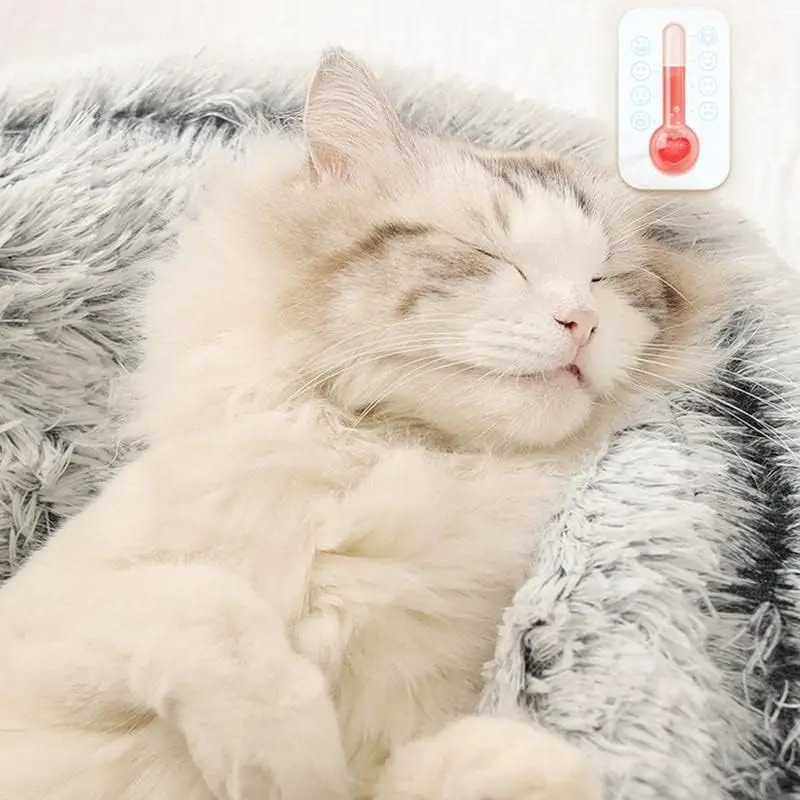 Katzenplüschbett
