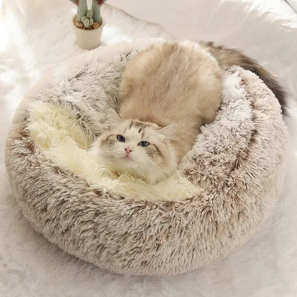 Katzenplüschbett