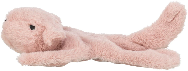 Eichhörnchen
