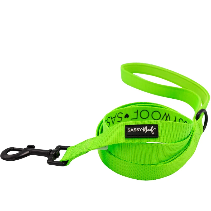 Neon Green Leash