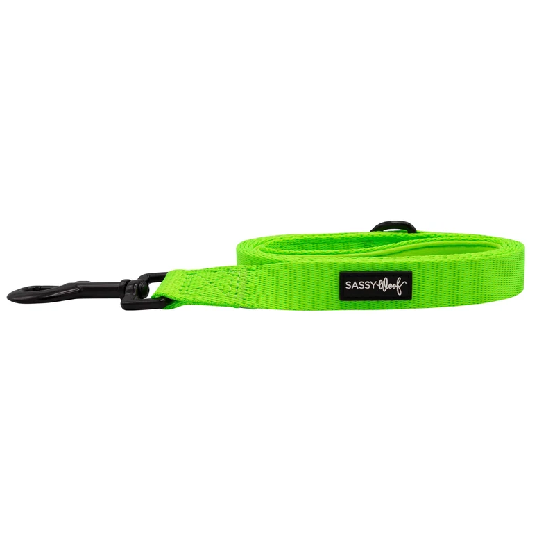 Neon Green Leash