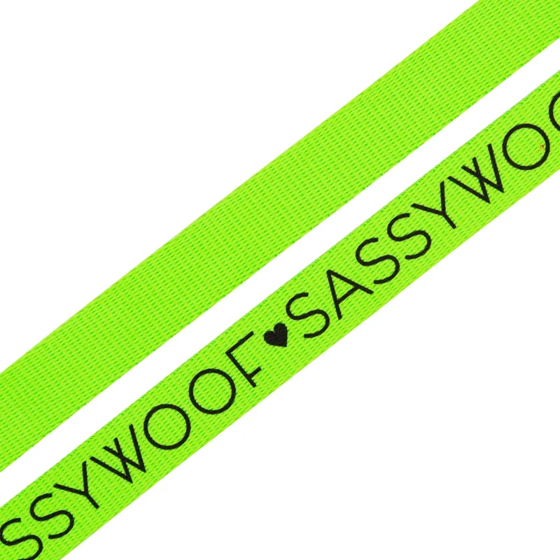 Neon Green Leash