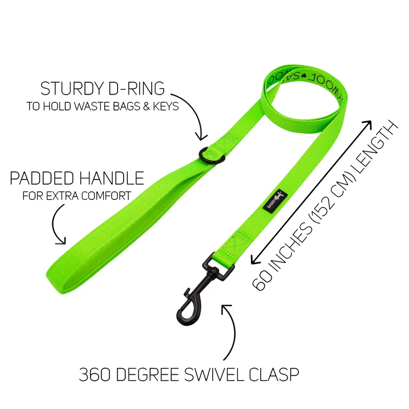 Neon Green Leash