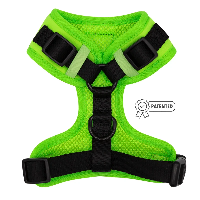 Neon Green Harness