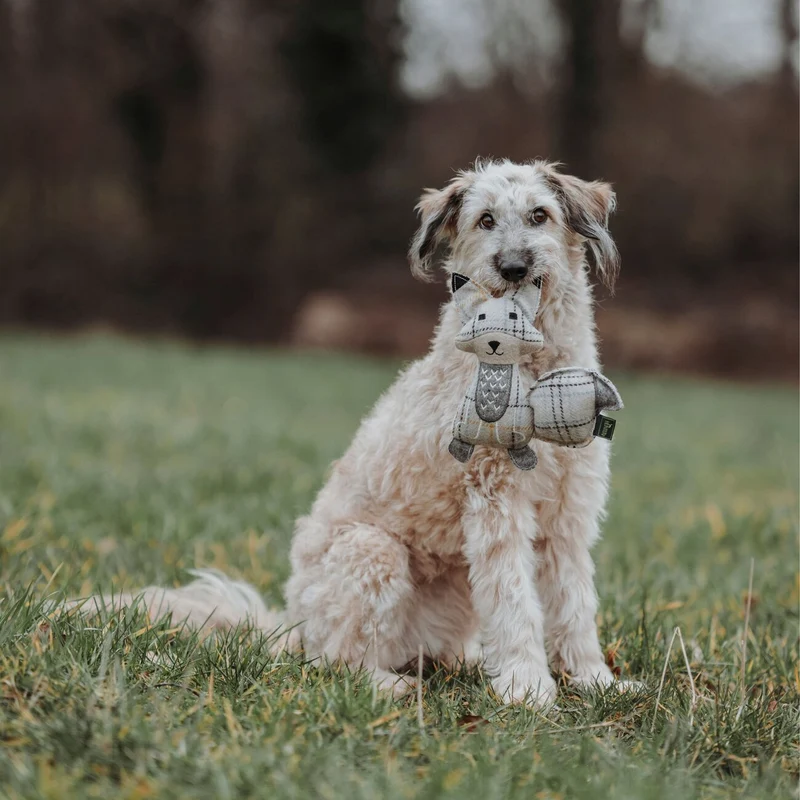 Hundespielzeug Billund Plüsch
