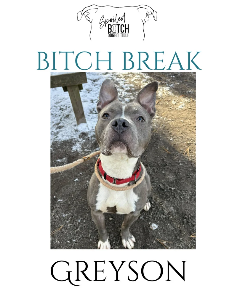 Spoil a Bitch Break