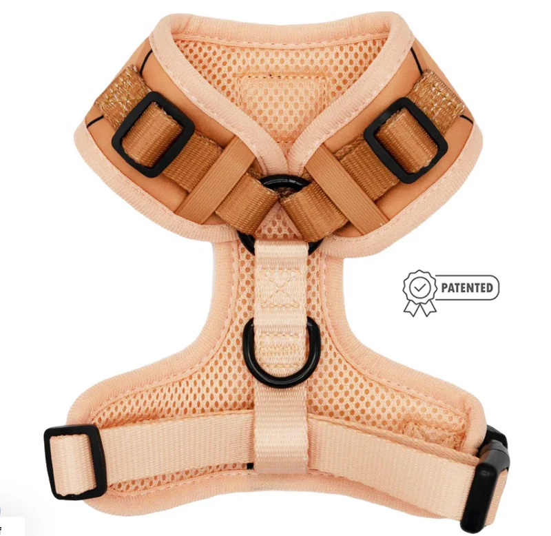 Muscle Bod Harness