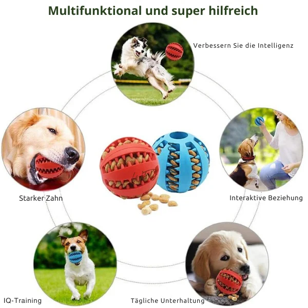 Zahnpflege Hundeball für aktives Spielen
