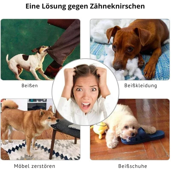 Zahnpflege Hundeball für aktives Spielen