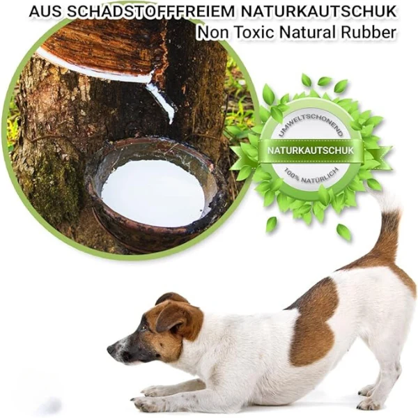 Zahnpflege Hundeball für aktives Spielen