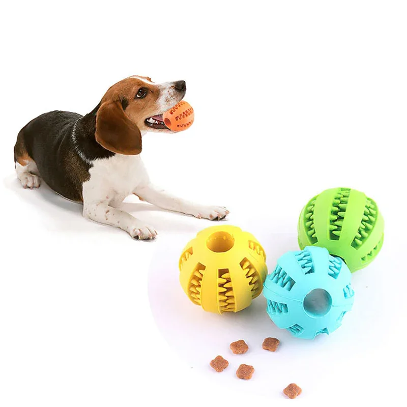 Zahnpflege Hundeball für aktives Spielen